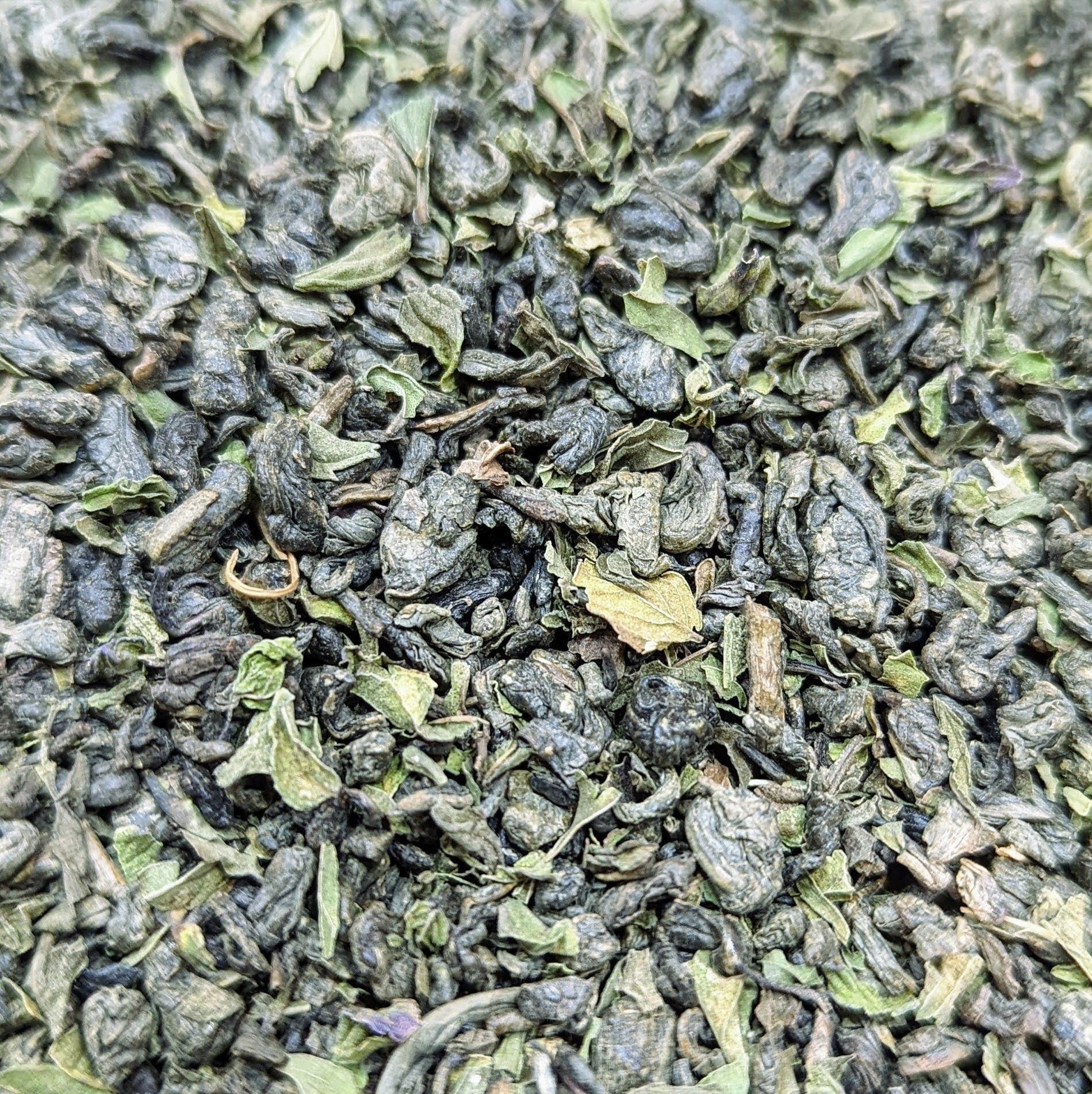 Moroccan Mint - 2 oz.