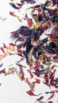 EDIBLE FLOWERS - AURORA