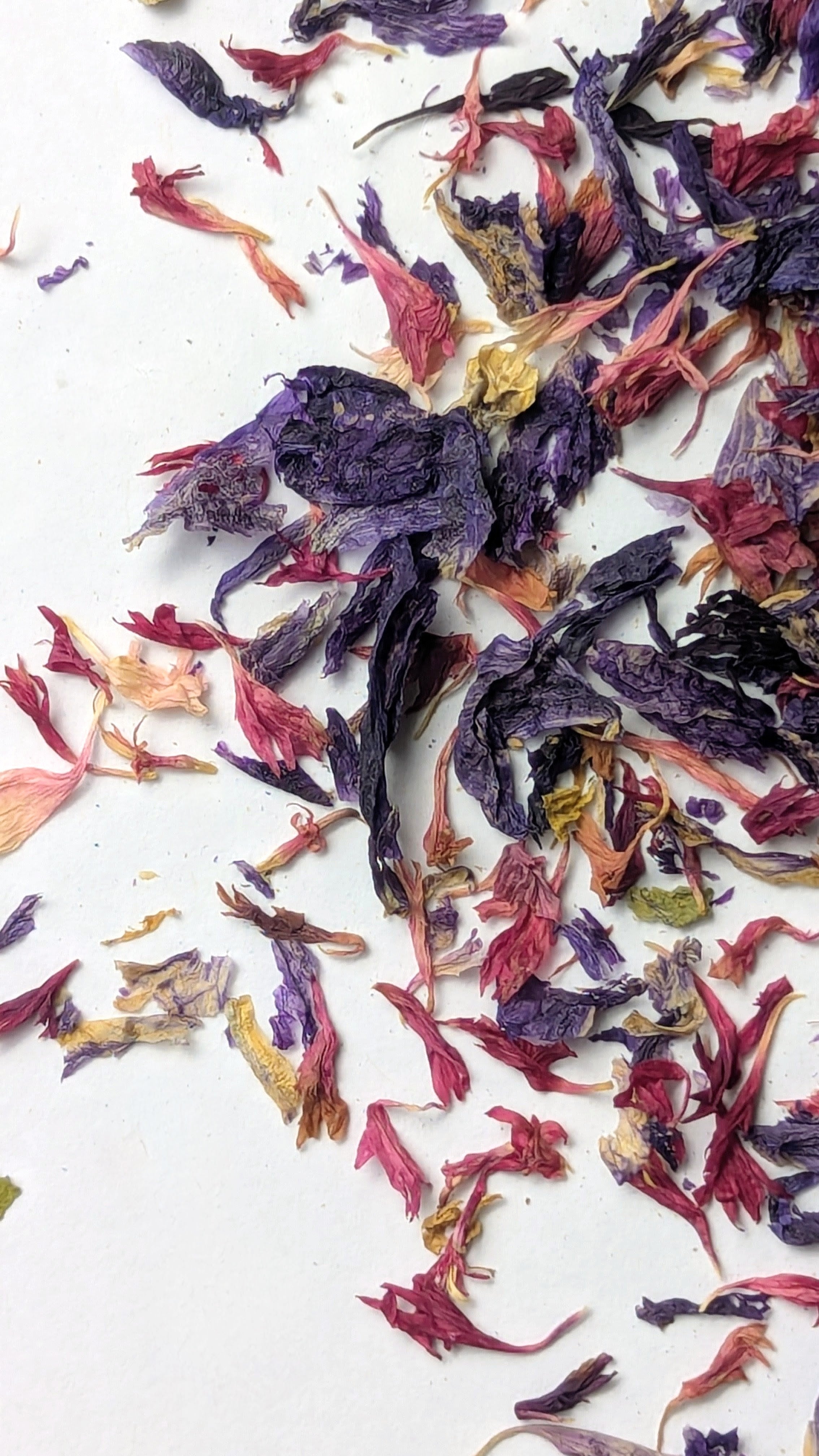 EDIBLE FLOWERS - AURORA