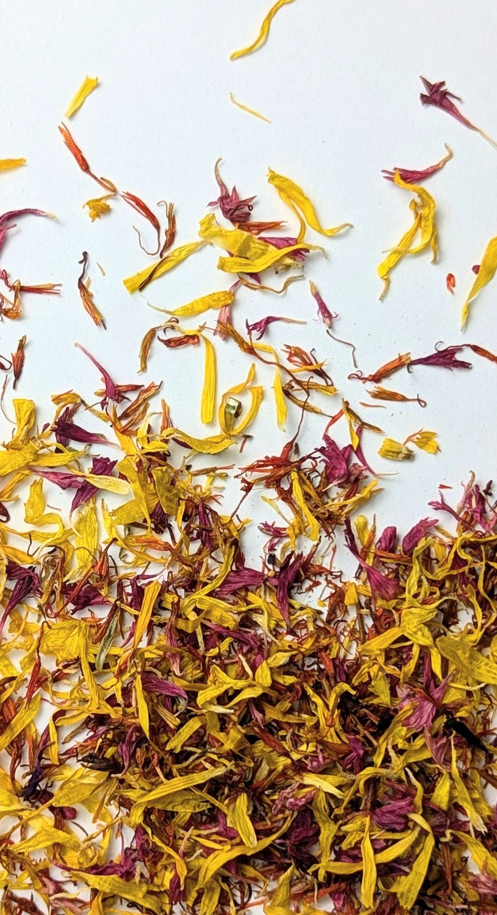 EDIBLE FLOWERS - EMBER