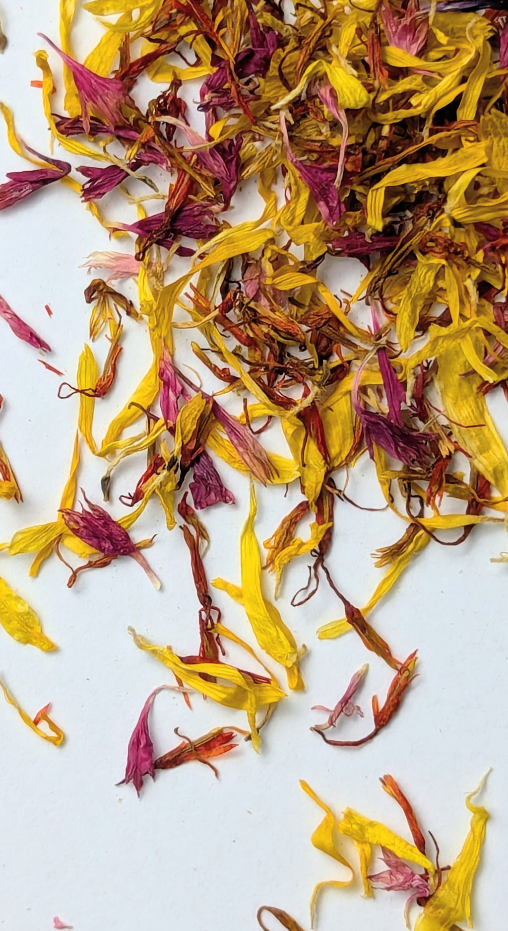 EDIBLE FLOWERS - EMBER